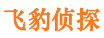 伊吾市私家侦探公司